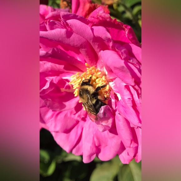 @browneyedgrl25 is LIVE! 💖 - Picture 6 of 13